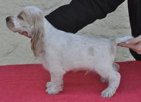 Iron MikeSteh (1).JPG