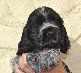 June Afernoon 5 Wo.JPG