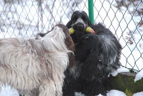 June Jill Flash4.jpg