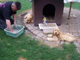 E-Wurf Löcherstopfenabwarten.jpg