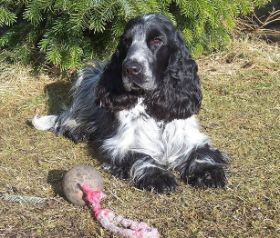 Lilly 11 Mo Tanne.jpg