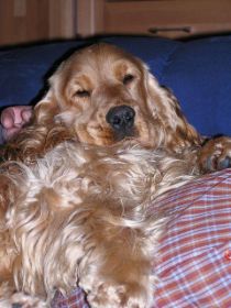 Easy1Jahr altSchoß.JPG